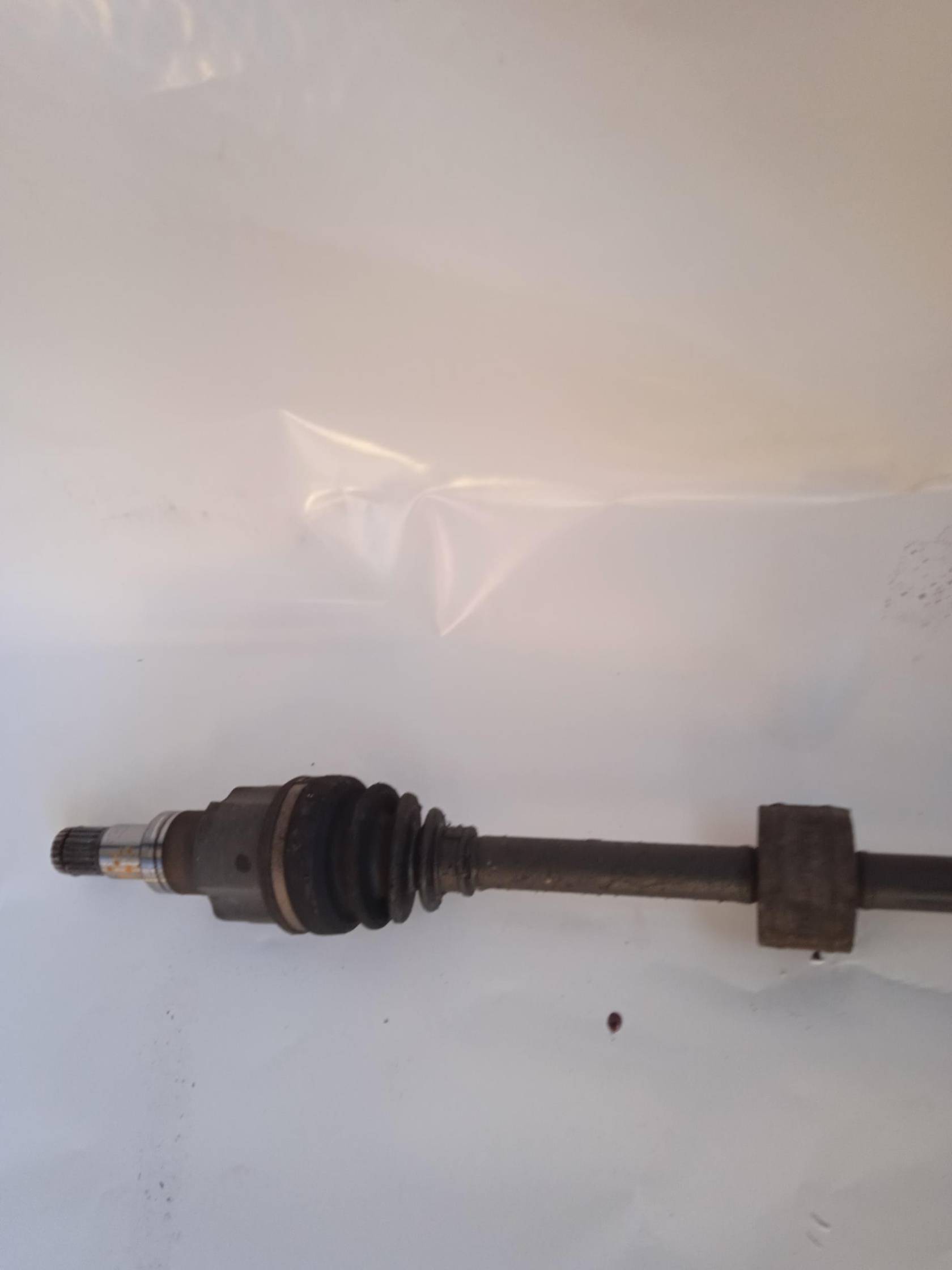 Semialbero ant. compl. dx.